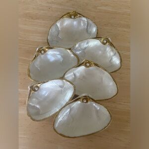 🌻6-Pearl painted shells